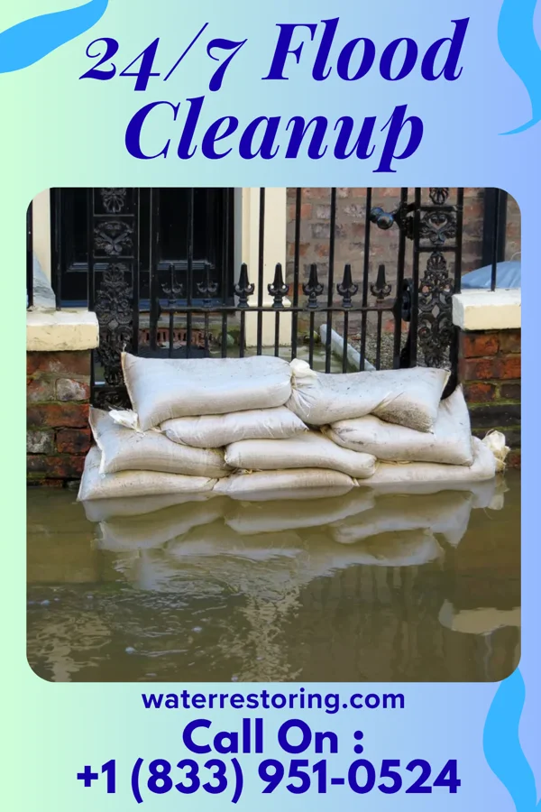 24/7 Flood Cleanup in Beach Haven West, NJ