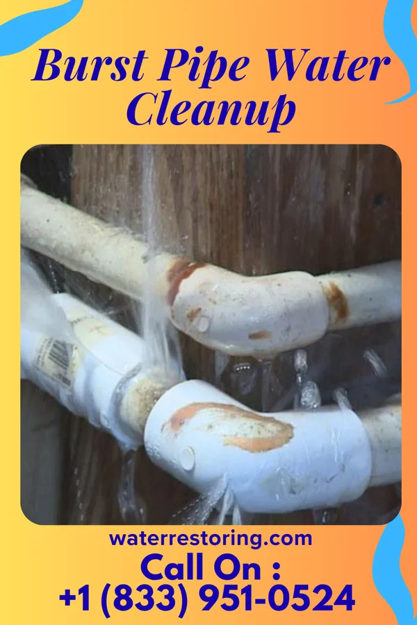 Burst Pipe Water Cleanup in Beach Haven West, NJ