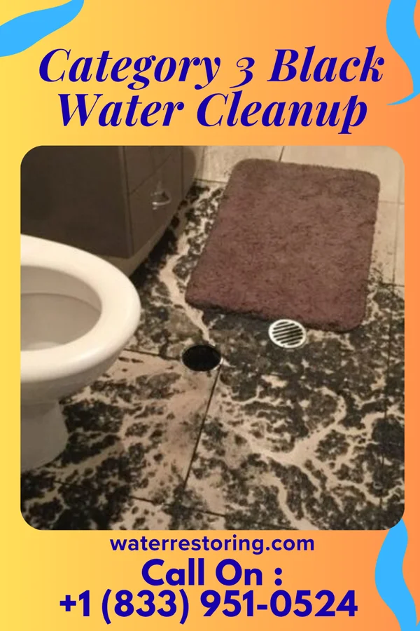 Category 3 Black Water Cleanup in Beach Haven West, NJ