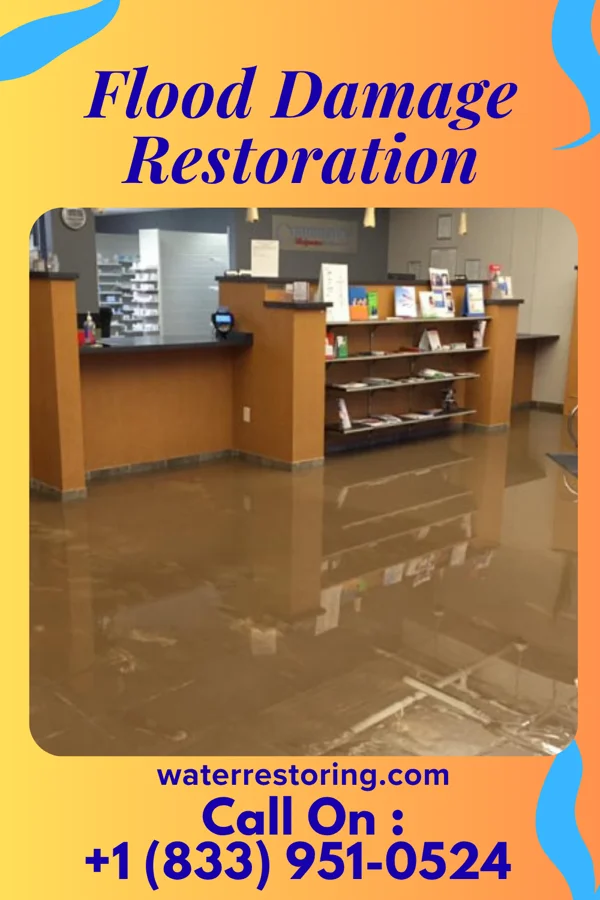 Flood Damage Restoration in Beach Haven West, NJ