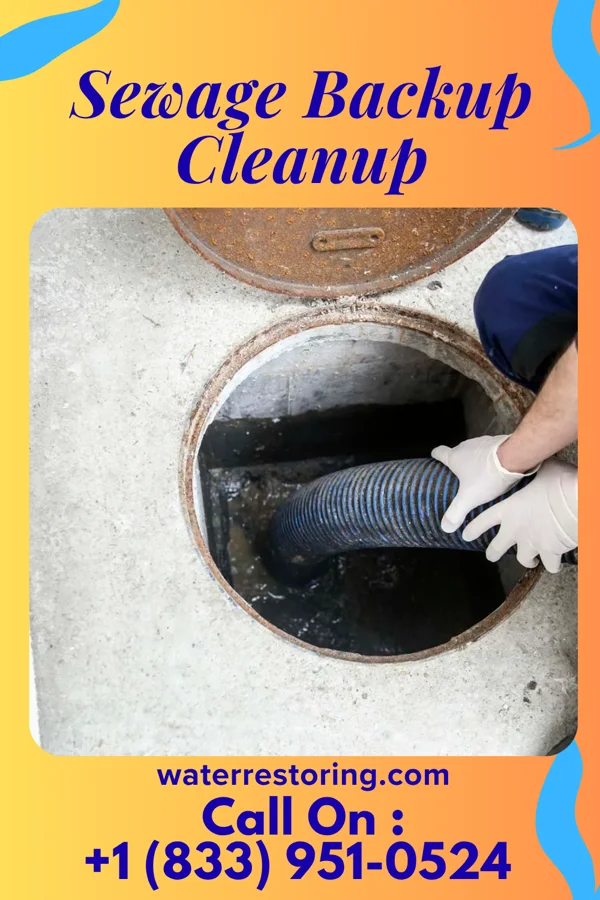 Sewage Backup Cleanup in Beach Haven West, NJ