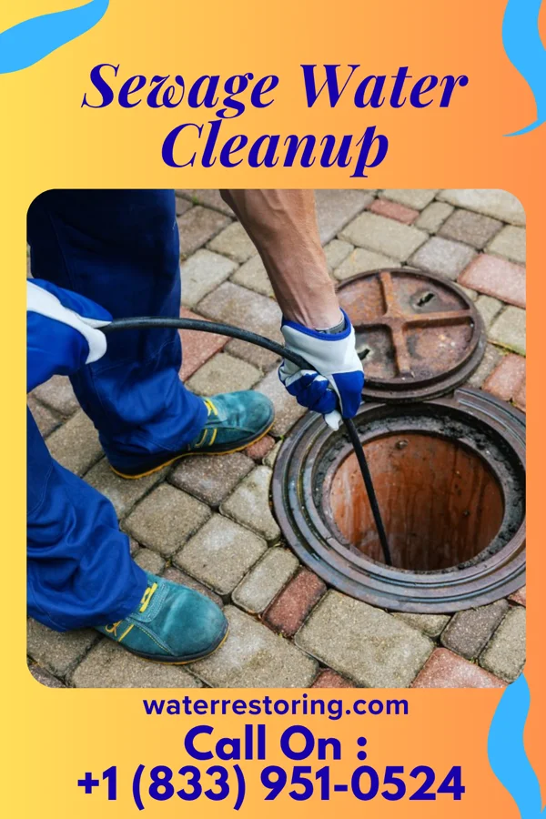 Sewage Water Cleanup in Beach Haven West, NJ